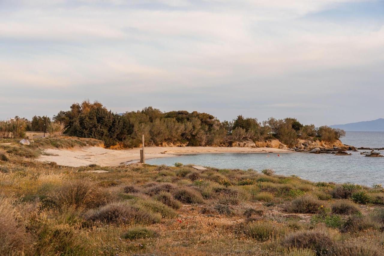 Villa Nausicaa Kastraki Naxos Naxos City Ngoại thất bức ảnh